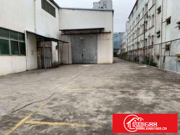 大浪独院钢构厂房4800平配有宿舍1300平