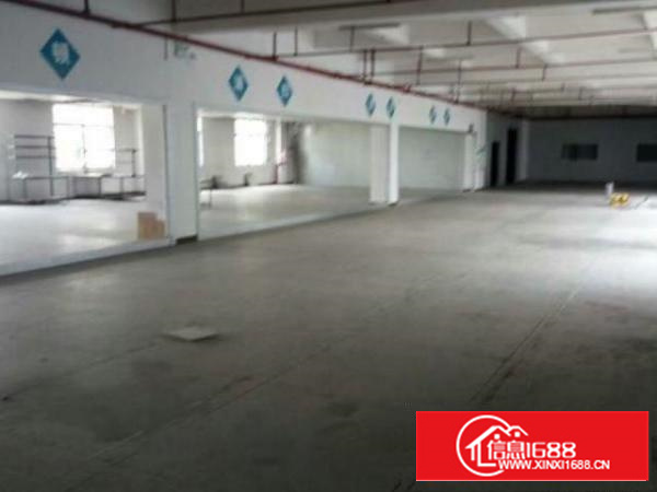 万江工业区标准一楼500平方出租配电按需消防水电齐全，交通方