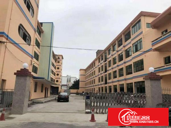 原房东！寮步向西独门独院二楼800平，带地坪漆精装修现成办公