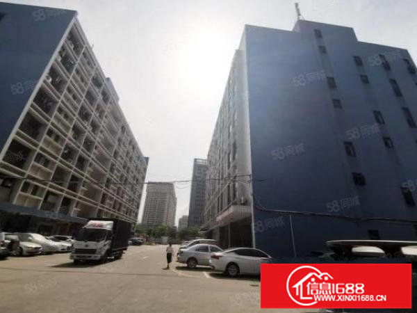 出租!布吉标准物流仓库新空出2楼3300,电梯5吨带卸货平台