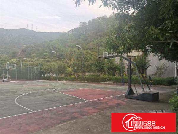 养老院月子中心培训院隆重招租