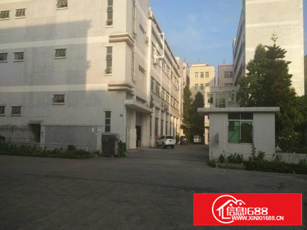 塘厦田心市场新出楼上1600平米厂房出租