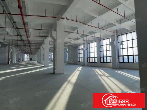 全新厂房大型工业区内独栋厂房大小可分租房东直租