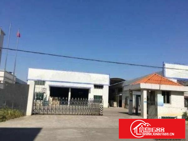 独门独院，有证可办环评，五沙5000方简易厂房出租