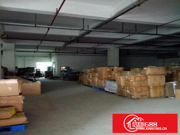 坪山区坑梓龙田龙湾市场标准一楼厂房530平米