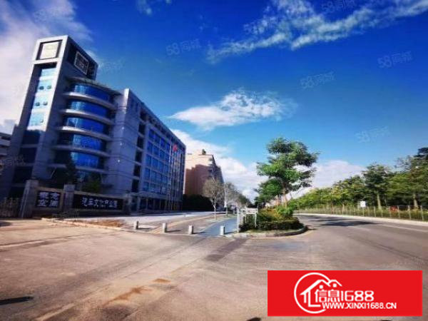 业主直租可办公可生产红本带消防厂房出租免租3个月