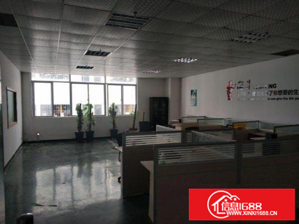 大岭山镇杨屋工业园出租整层350平和655平厂房有现成办公室