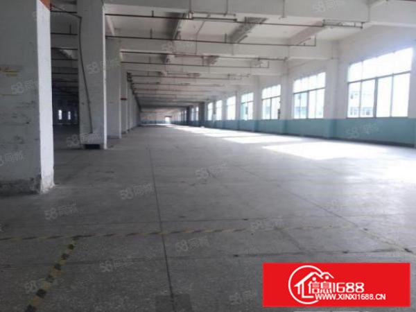 (可分租)东坑镇原房东独院厂房出租面积实量证件齐全