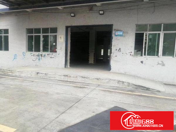坂田主干道红本厂房一楼1980平