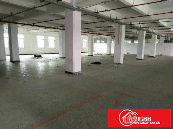 平湖上木古工业楼上800平方标准厂房形象好招租