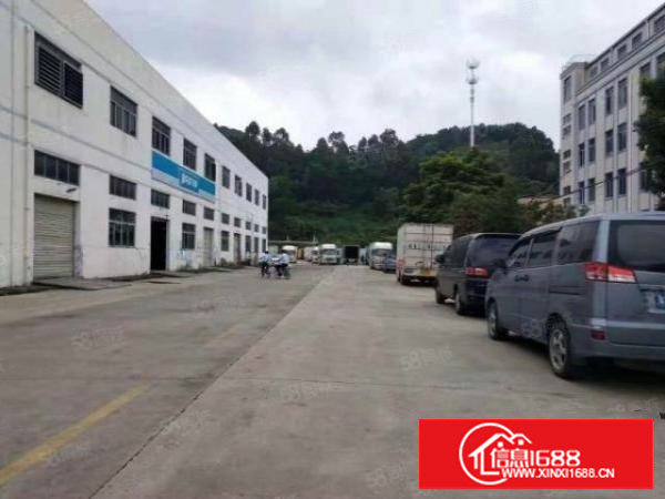 塘厦168工业区原房东楼上500平厂房出租精装修办公室水电