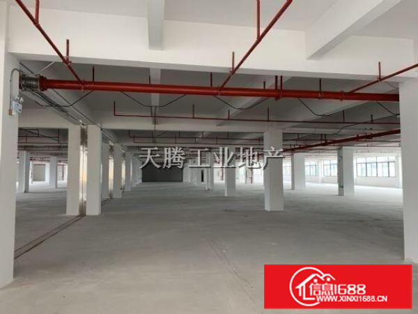 红旗标准厂房首层800方出租大路边