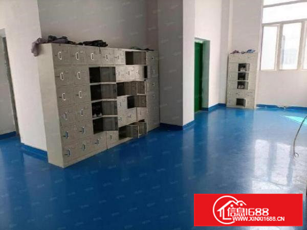 石排庙边王精装修1300平花园式厂房出租空地大