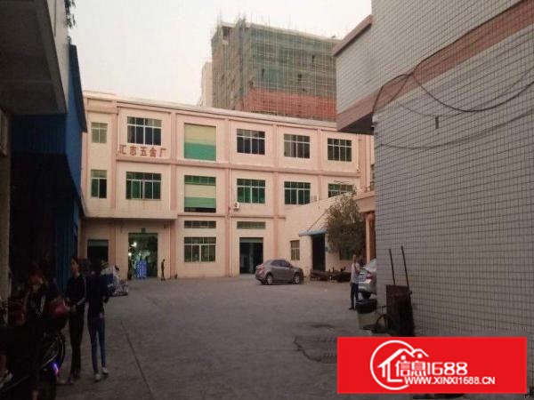 大朗原房东独门独院标准厂房