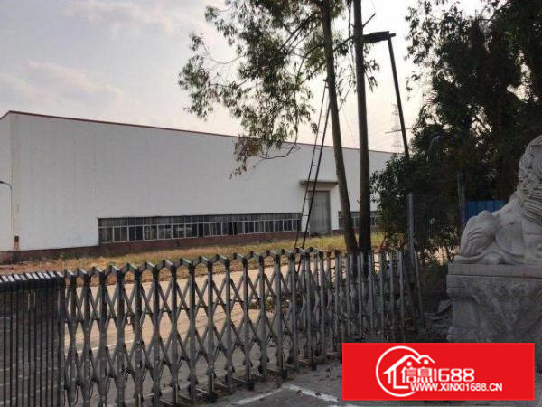 常黄路东深路旁钢结构25000平米