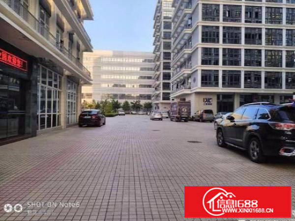 出租龙岗新出800平精装修厂房租16带电梯(可分租)