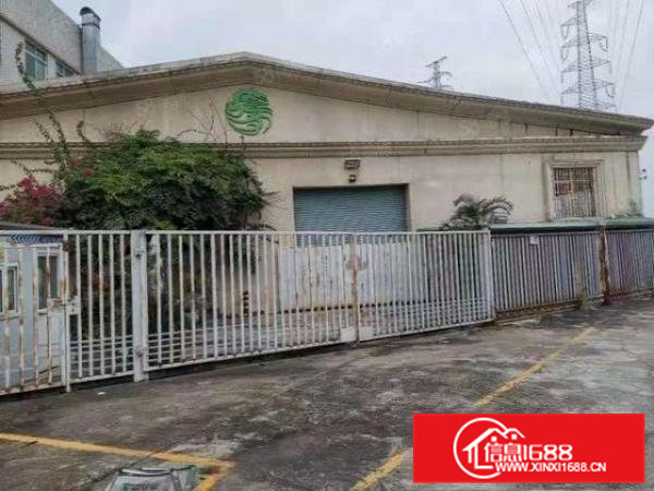 独门独院钢构厂房高7米水电齐全现成隔好办公室