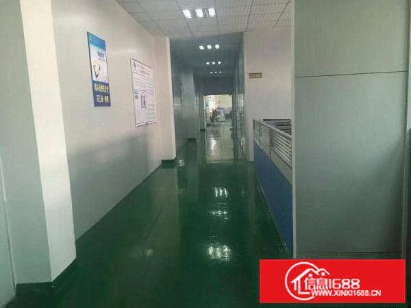 （新盘）清溪三中新出楼上厂房1400招租水电齐全