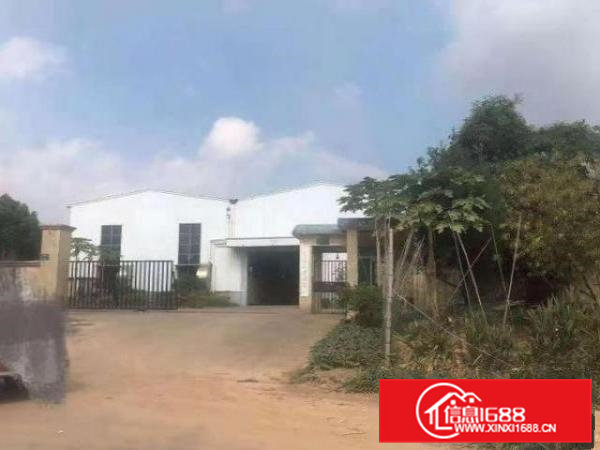 高埗单一层钢结构厂房3500平米出租可做小污染