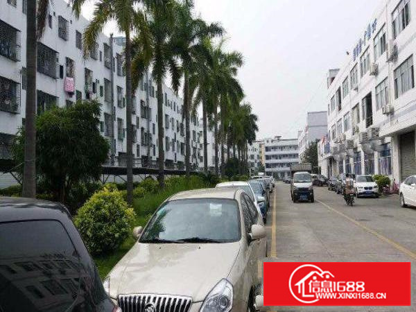 龙华龙胜地铁站附近2000㎡招租