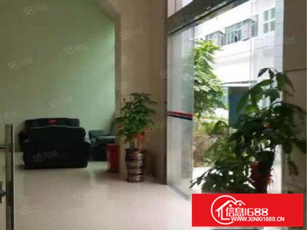 福永凤凰新出原房东8000平米独门独院厂房招租