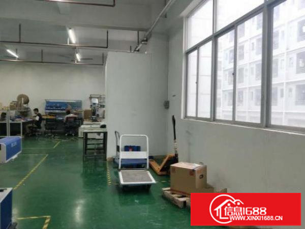 龙华大浪商业中心新出1200平 大气前台 豪装办公 精装车间