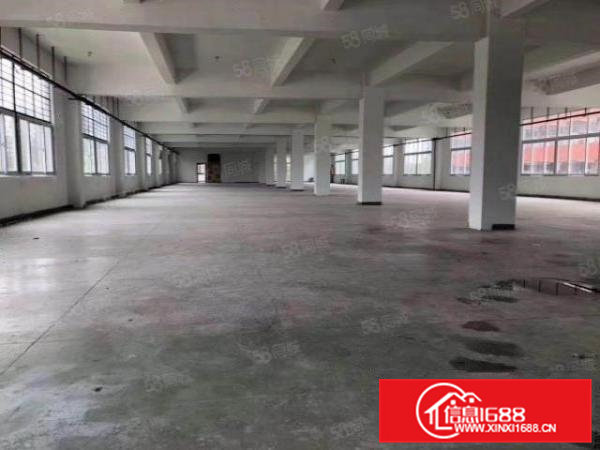 高埗低涌本地人厂房出租1500平方价格低到没朋友