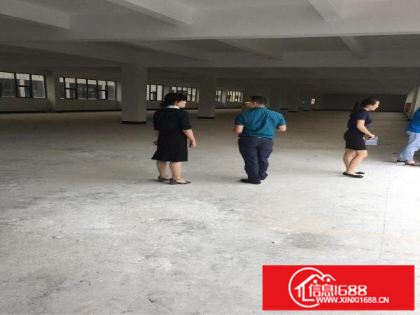 横岗红本全新产业园300平起可分租