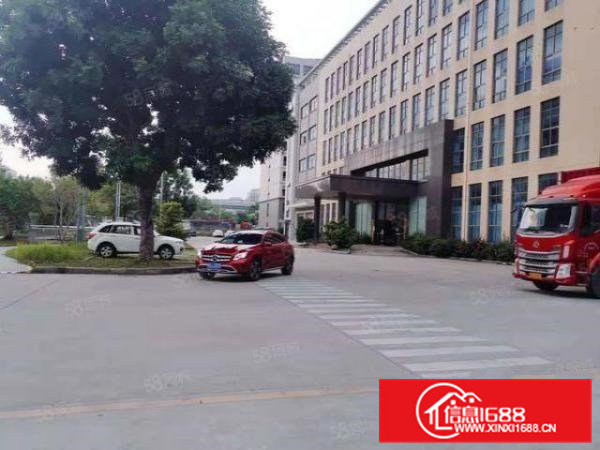 长塘大道原房东一楼漂亮价格好谈厂房2000平方.