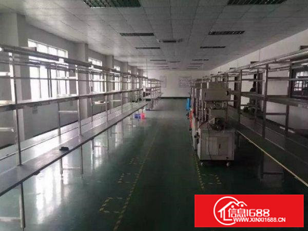 办公室精装修清溪浮岗二楼厂房600平招租