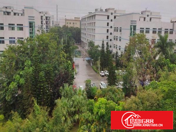 优质厂房出租，一楼，面积1500平米