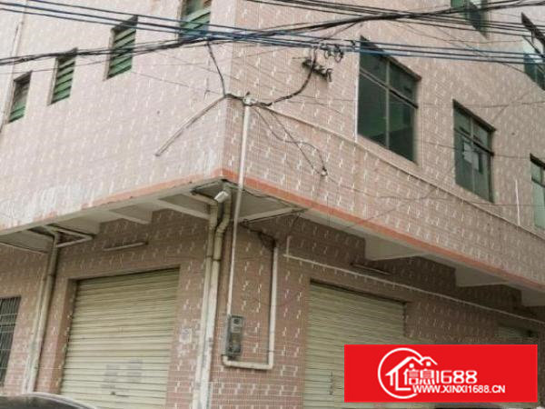 桥沥北门独栋(电梯)240平厂房仓库办公室