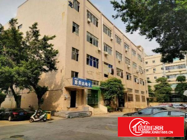 沙井镇松山工业区独栋红本厂房楼上小面积招租