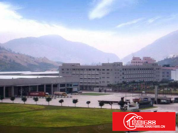 大岭山新出花园式厂房招租，双本齐全，超大空地，国道边。