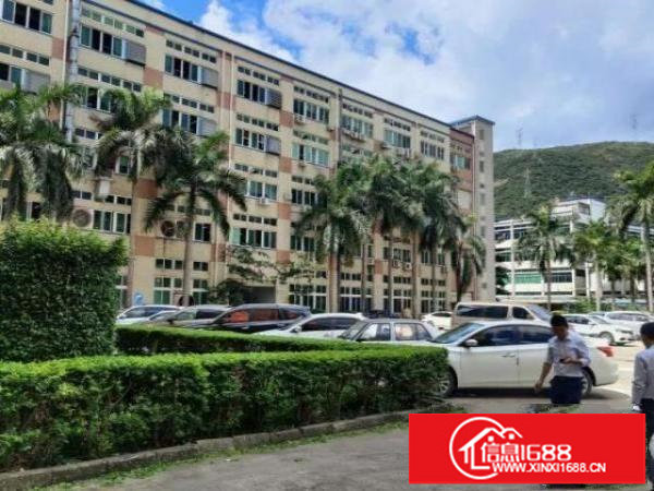 红本工业园全新装修厂房出租三楼555平坪山比亚迪南坪三期出口