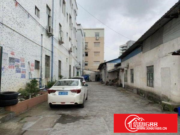 金洲工业区标准一楼厂房600平方分租，价格实惠