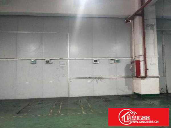 拎包入住厂房，不用任何二次装修