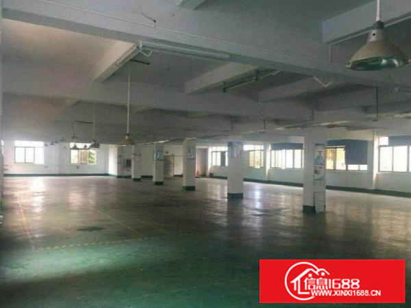 惠阳新墟现成装修6米高电按需形象好空地大