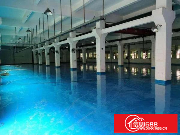 东坑独院3层厂房出租