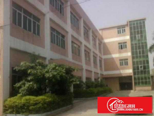 万江工业区标准厂房分租楼上带精装修1100平方出租