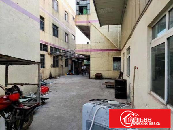 新出原房东小独院！虎门赤岗厂房加宿舍3500平米招租可分租