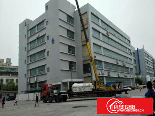 大浪新出龙泉工业区一楼300平6米高适合做五金模具行业