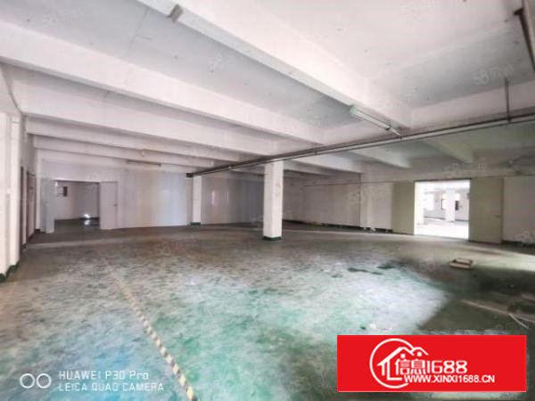 沙井新和大道步涌才华学校3楼680平办公室装修电子手工线材