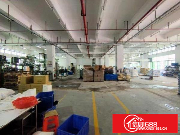 观澜福民茜坑一楼带牛角6米高，实际面积出租，面积大小可分