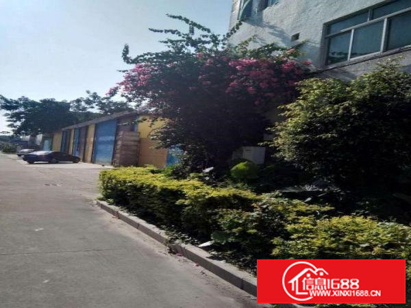 龙岗坪山独门独院厂房3600平米出租