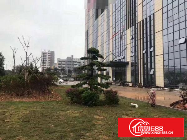 东莞长安新出带红本独门独院高新产业园总面积50000平可分租