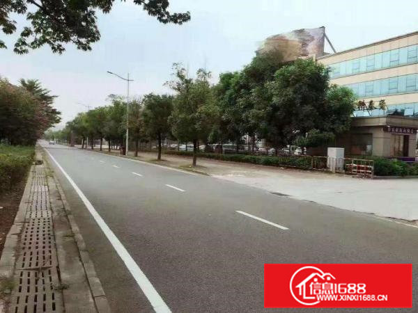 出租常平镇独院厂房钢构厂房