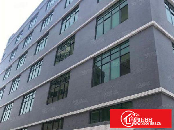 （无尘车间）大岭山新出原房东3楼2300平方厂房出租无公摊