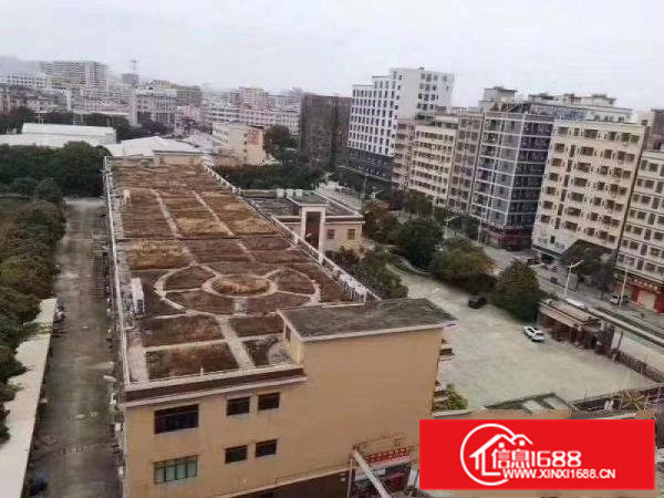 大朗镇洋坑塘村独院花园式厂房12800平方出租