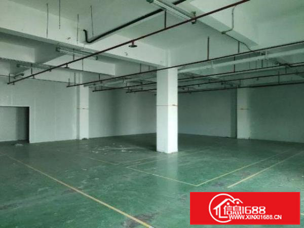 凤凰立交旁边，价格优惠可分租